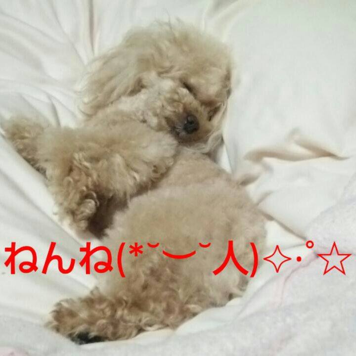 0460e4ff 6463 41cc a541 b2389245e5f7 1558533862640