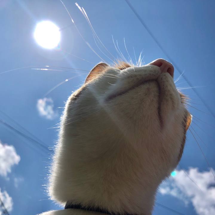 0460f50a 3d0f 463f a837 8e0c6189d10e 1557205114865