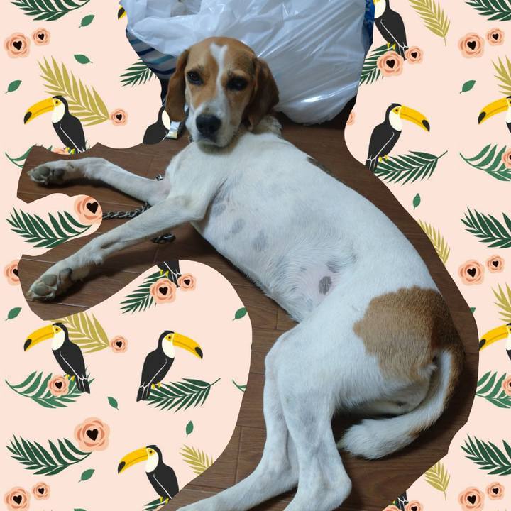 0460f561 40c6 4bcf b73a b20a50f5d19a 1598855288931