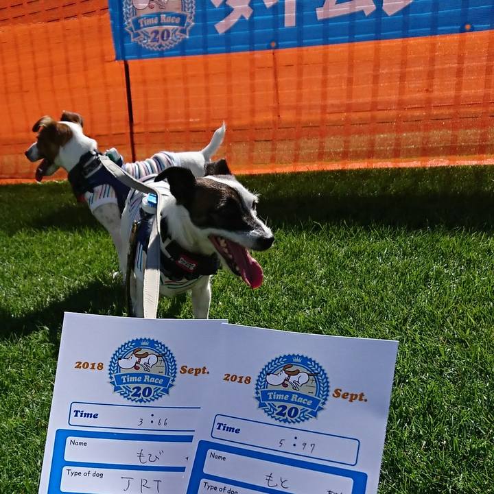 04610426 b771 400b b6fa ec69d8ed6e24 1537601362421