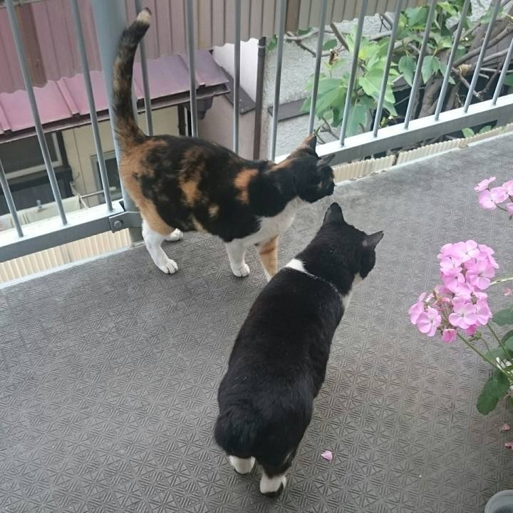 04612026 0ec7 40b0 9414 1016c395cd14 1525644920007