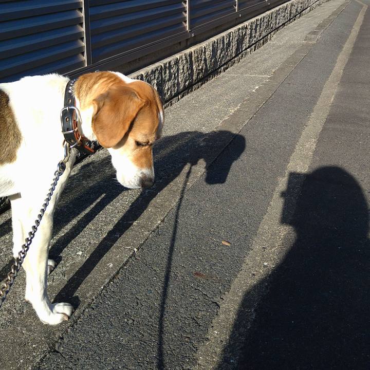 0461232c a0db 4f15 9fa2 e74c9bf0e342 1661074275981