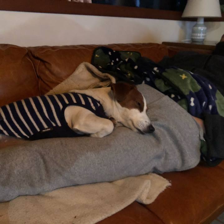 04613c35 90d8 4d73 9836 7c5f57d22c78 1550922991364