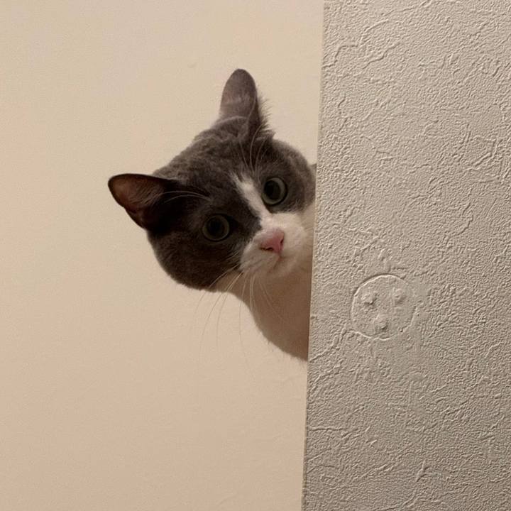 04616e75 5582 48ff b7a1 001dd8530da8 1767009905298