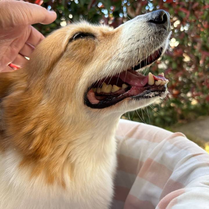 04617088 5bc7 495c b01d 56b41187db10 1733813887667