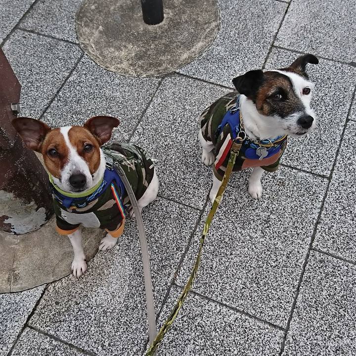 0461b9b0 3949 43ed 90b3 16dbe8f29d86 1581546882695