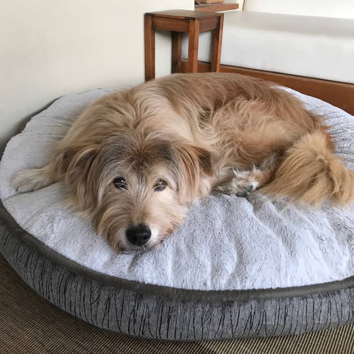 04628676 1a21 4a60 b85d b4a5c37a8d28 1580708616828