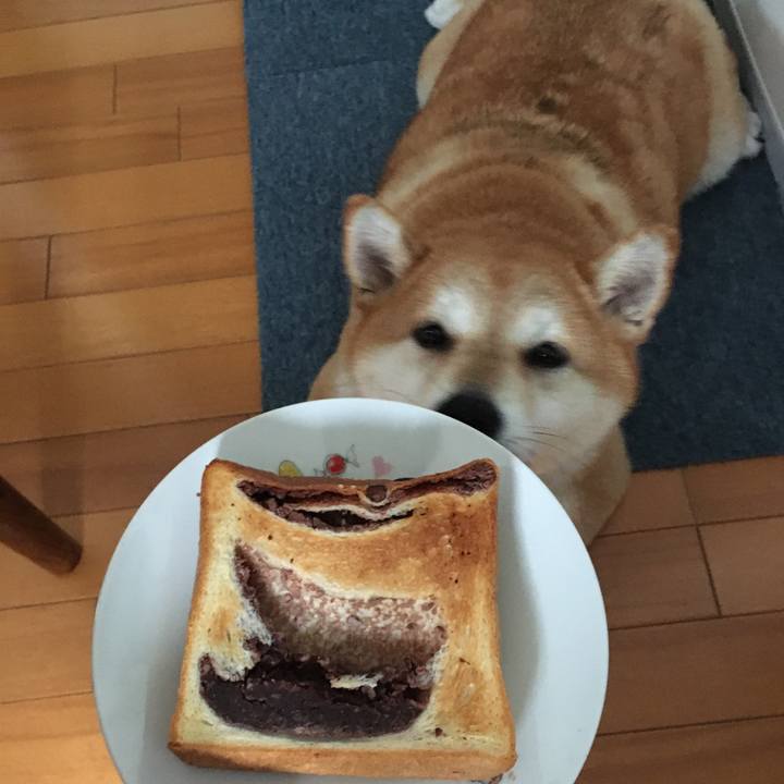 04629b04 4d73 4fae bdee e19734412ef1 1601004303939