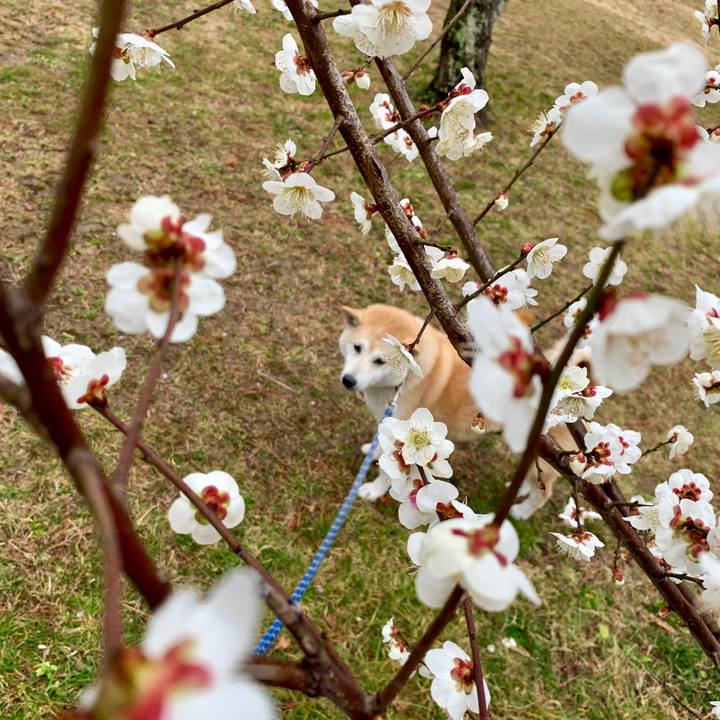 0462c45c 31ba 4193 87aa 757d42e95091 1552064554654