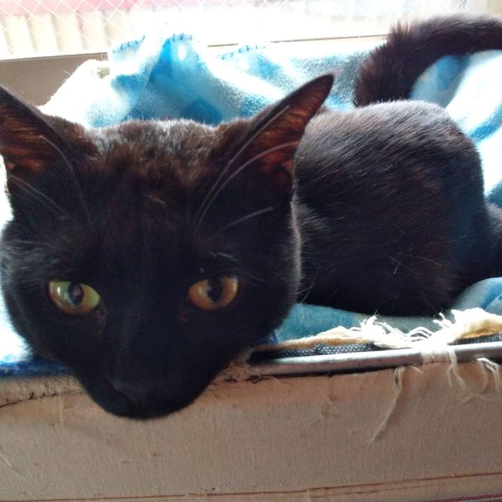 0462de0f 92ff 4fe6 84e4 7f39a8902474 1558429378800