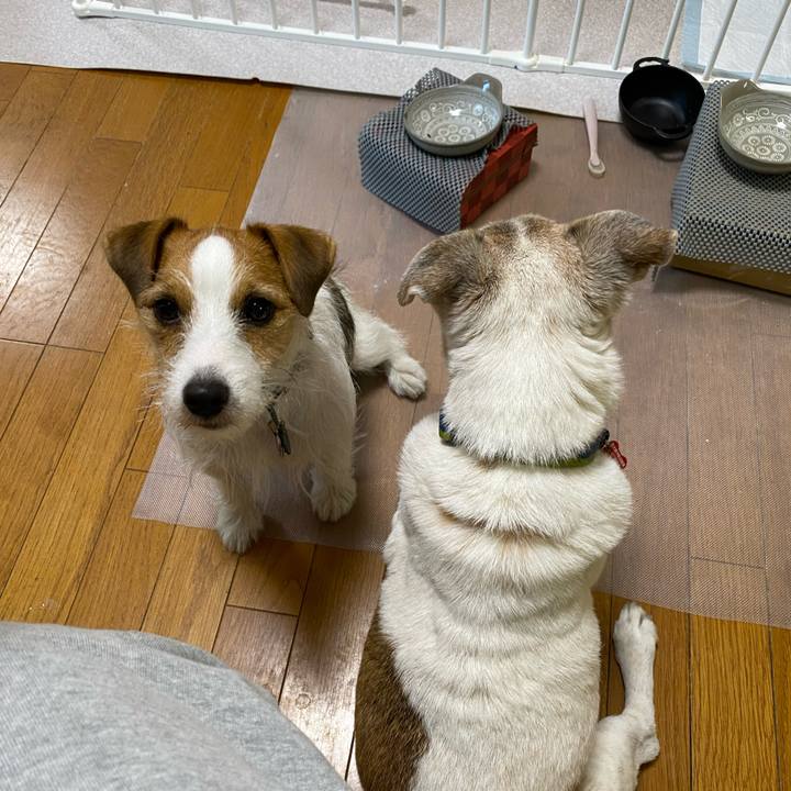 0462f0bf d08f 4576 8153 730459f4aa25 1698790005692