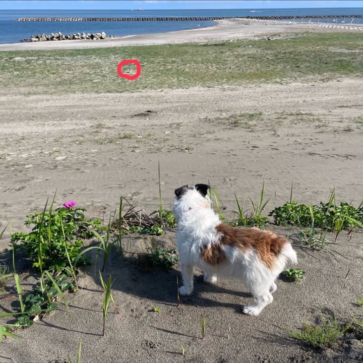 0463392f efc7 4780 88ba 89c406f09188 1717446663706