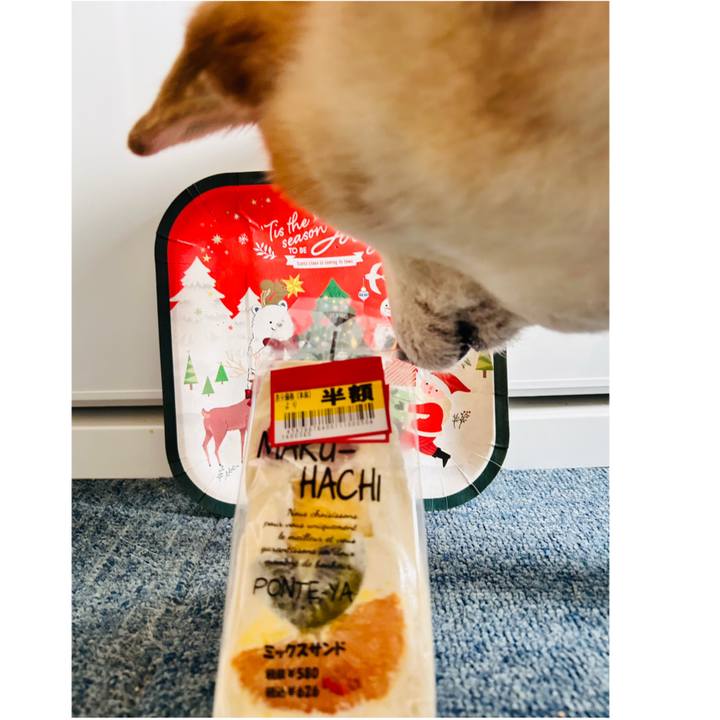 04635337 e588 4e26 b95d fd30fdb7f17e 1732494086212