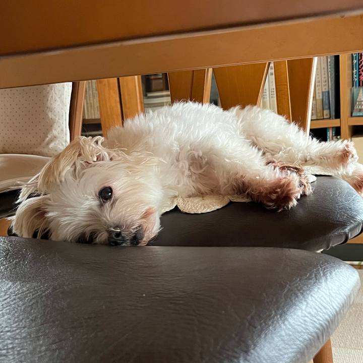 046366e9 996d 445f a92b cba6bd7b9fa9 1724895643311