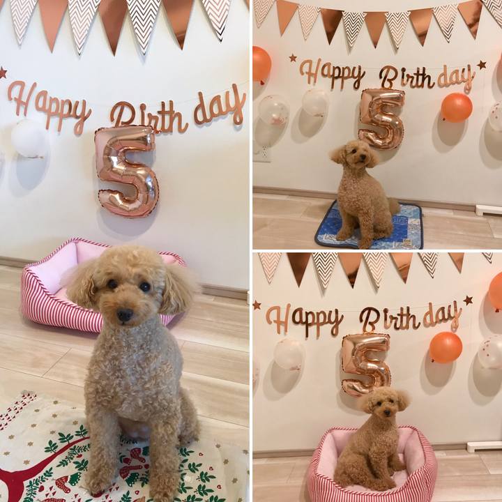 0463c4b6 addc 489c a7d4 1b8326bbb6e7 1600690470883