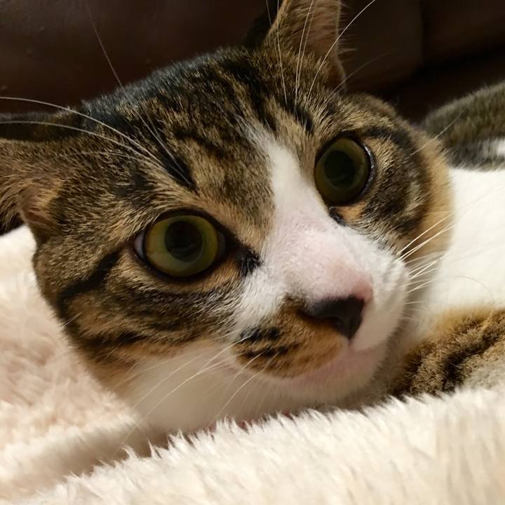 0463c889 7add 4536 9015 68d5bdb978ad 1510758860168