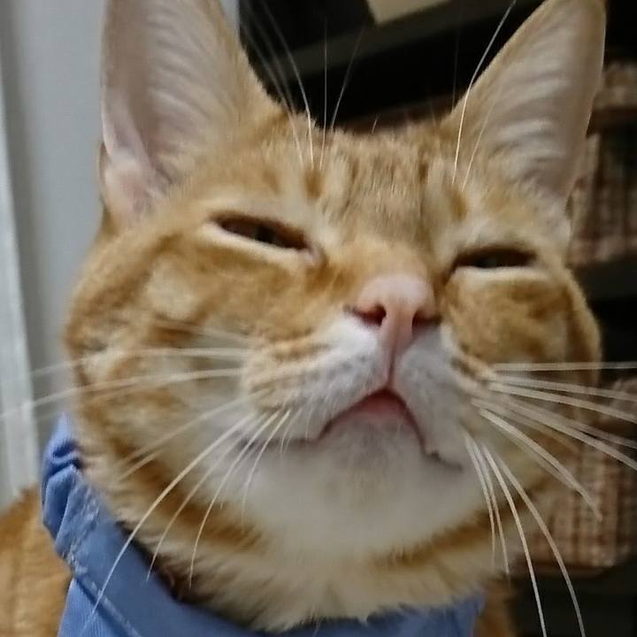 0463e0b6 a292 4ed9 979f 03616242959f 1521846898487