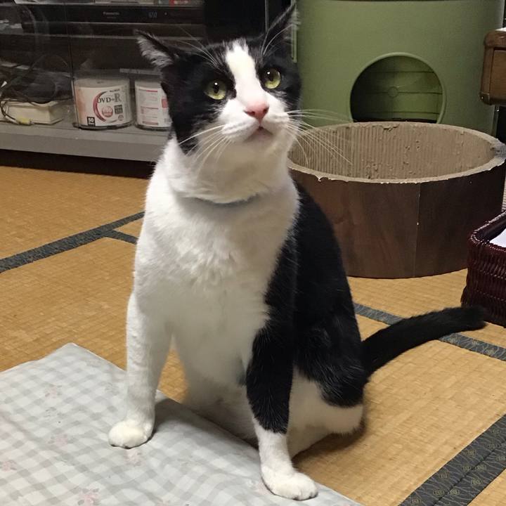 04641812 eb5d 40cf b57f 1bfa87f99f20 1726301565934