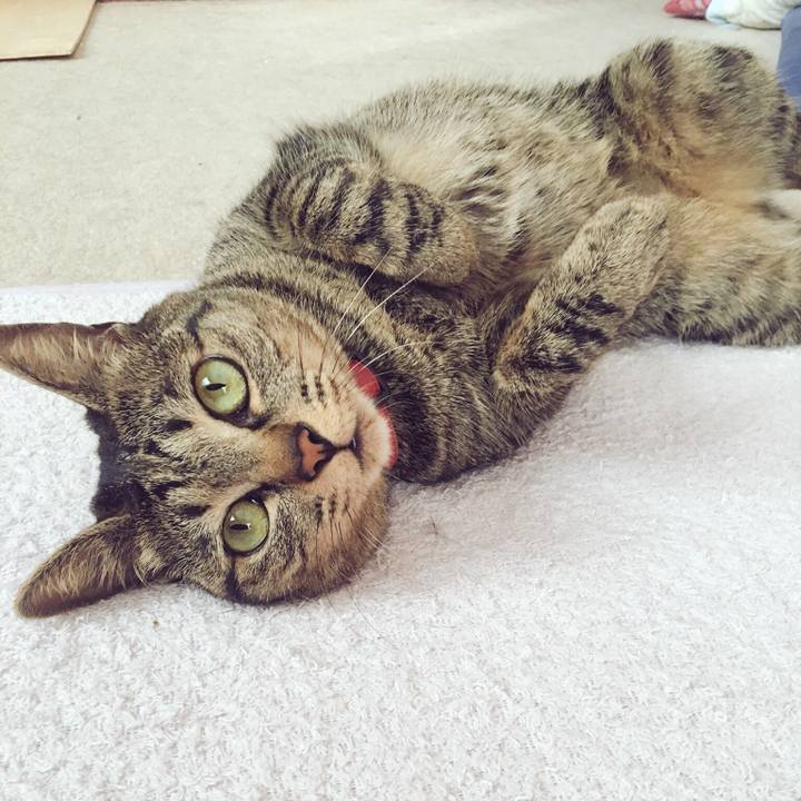 04642fe4 9556 4914 9a27 d7fe3fd6b24f 1537575333152