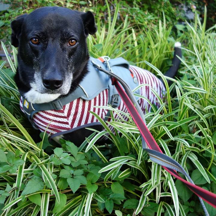 04643001 9e2d 4461 b742 1fb67412dcea 1719881252603