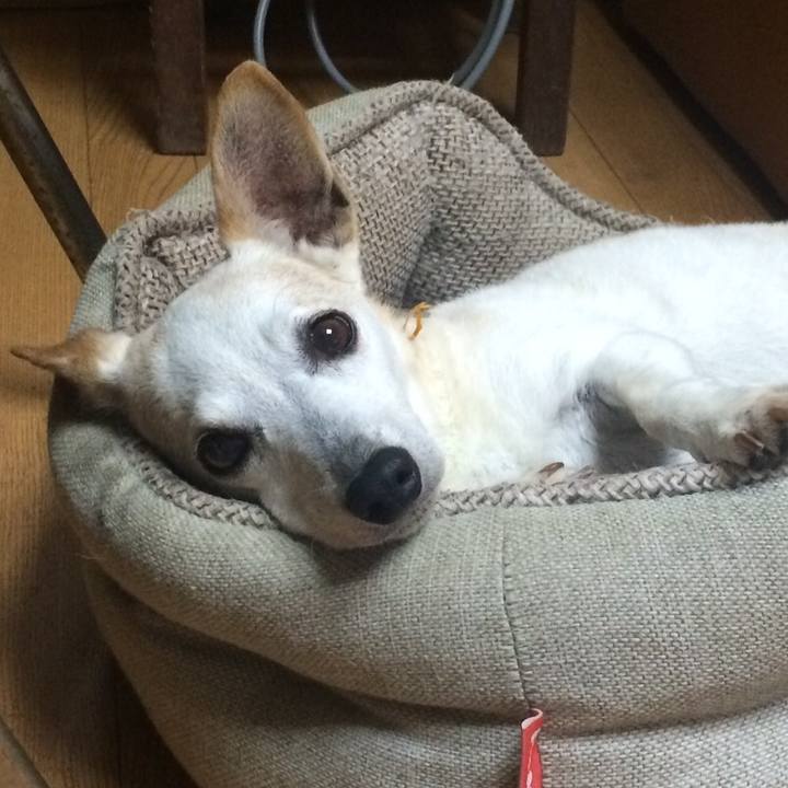 0464804a 4f7c 44b7 a2ec 8428f10b8f3f 1524581062275