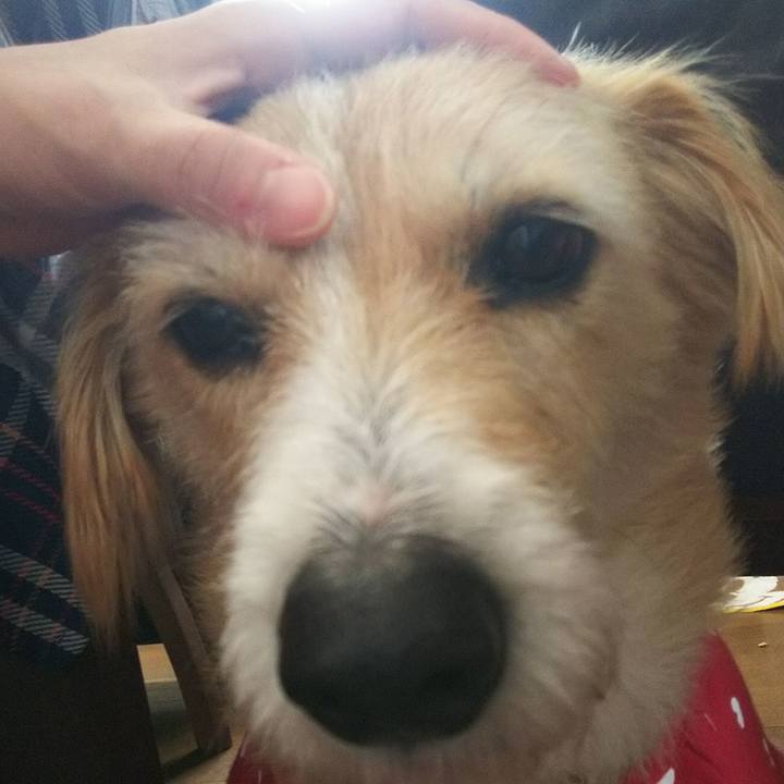 0464937d d10b 425c b20f 5e68bd252242 1546130870787