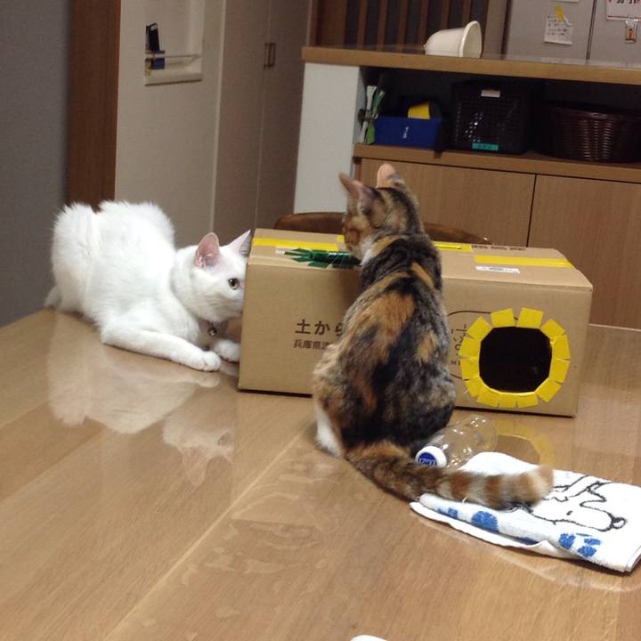 0464af1c 870c 43dc 98b9 e874283f7ae0 1628727860766