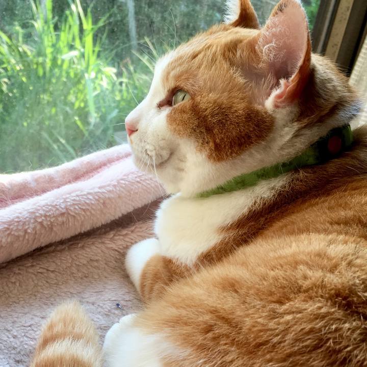 0464bed2 0265 4c7b 9973 2da8ec623067 1557614289426