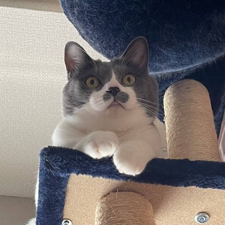 0464e5cb 0414 40d7 9ab5 e8662b71364c 1659743769249