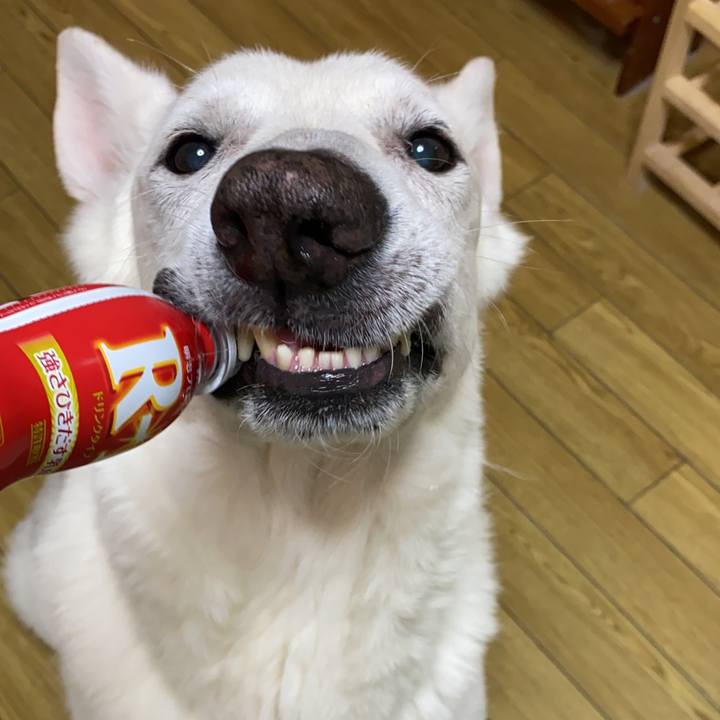 0464e642 4c22 48b2 b2ef 956e41985411 1586182250225