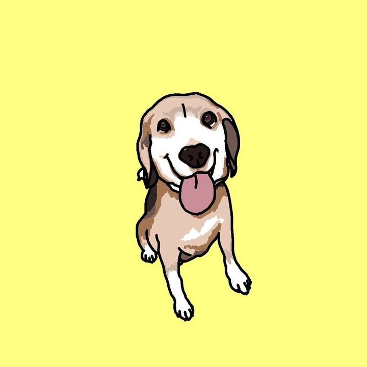 0464ffb1 8384 48aa befe 9b4043c71f5d 1764947159433