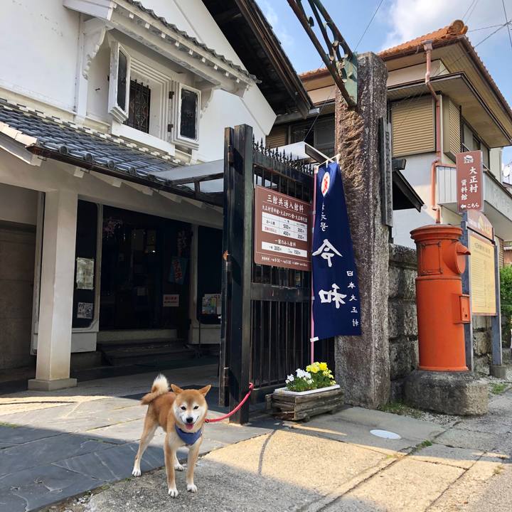 04651e04 be3c 4821 83fa 7753fe003999 1557921253554