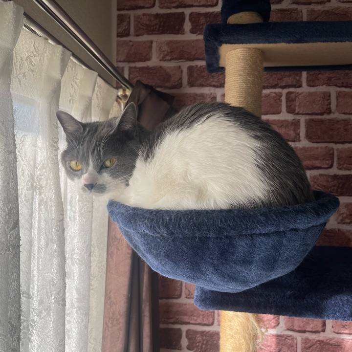 046532aa 1d23 4909 b952 2c79d54d44e7 1676331044695