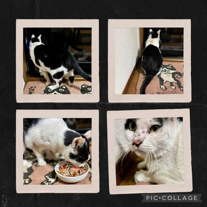 046547d4 1cdc 43fc b39f 5aeaea2debf4 1761538296190