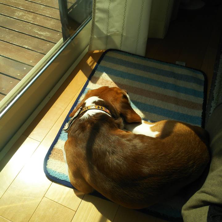 0465c6a1 0ec9 4a32 a475 5a80b165771a 1586922548007