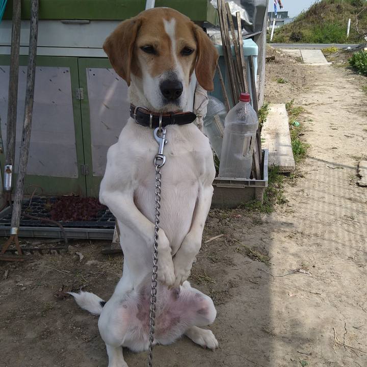 0465c839 93c5 4a65 a2cf 6b4b021aa10b 1662641424388