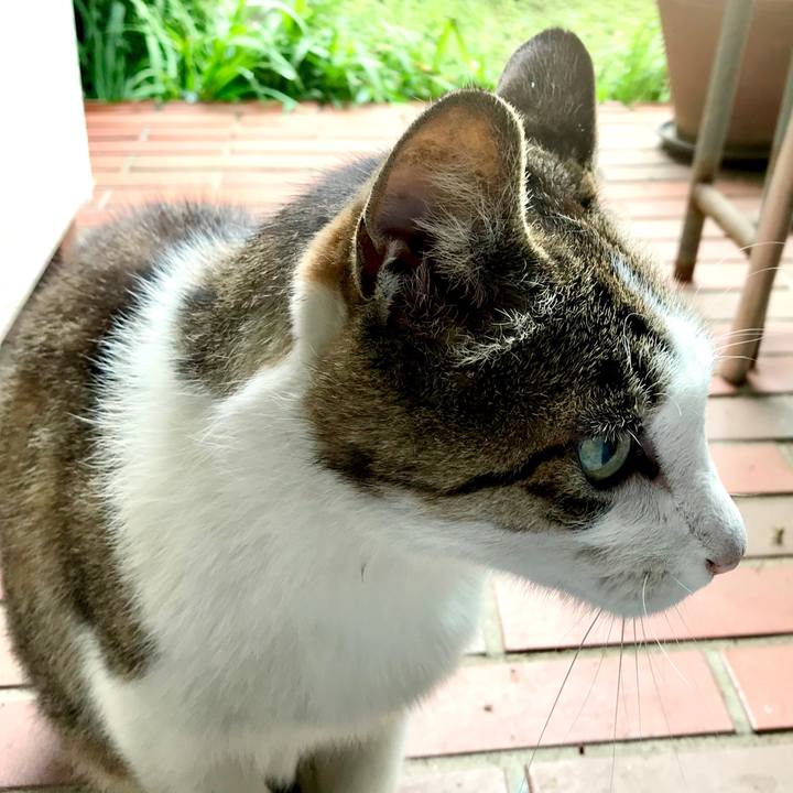 0465eb0d 399b 49e8 8a1c 0551e209a05a 1529131894854