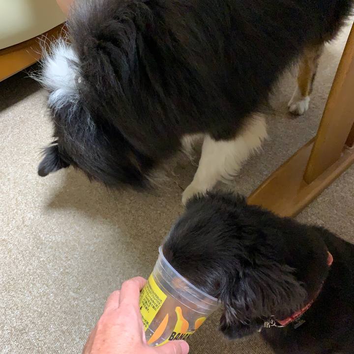 04661290 bf43 4fad 9ced 2d02e9c2ae1d 1564523836530