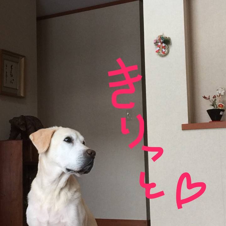 04662298 f41d 4d44 a37f 3f0f31aefd37 1515795244078