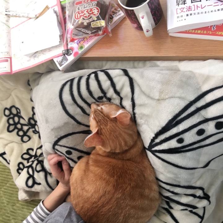 04663257 5164 4fed 8741 12ffee70603f 1547344497000