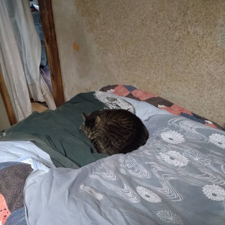 046649ce ed09 4066 90a6 e21c52e8ccbd 1748728058188