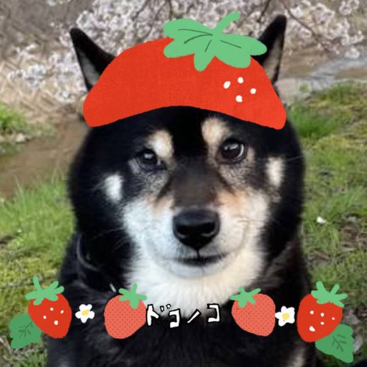 0466989e c83a 4248 91fb 2e0a31692fdb 1775355989176