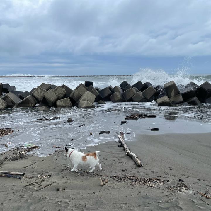 0466cdbf 9759 460f 96fd 951aafd1cf69 1719882359489