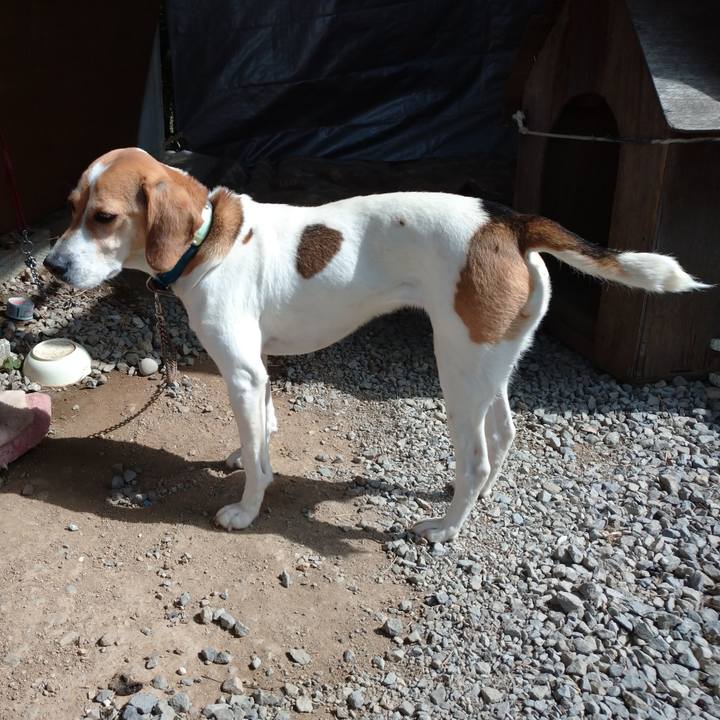 0466ddfb 1482 47b3 8729 5cd380180f73 1617000942471