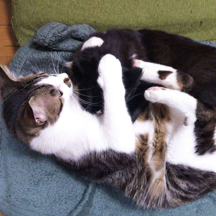 0466fc16 7af3 486f aadd a56291255037 1647573738750