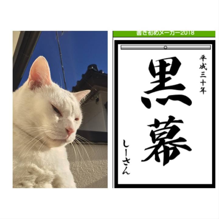 04671f48 7137 400f 8ef9 dfedc0840ee2 1515070914357