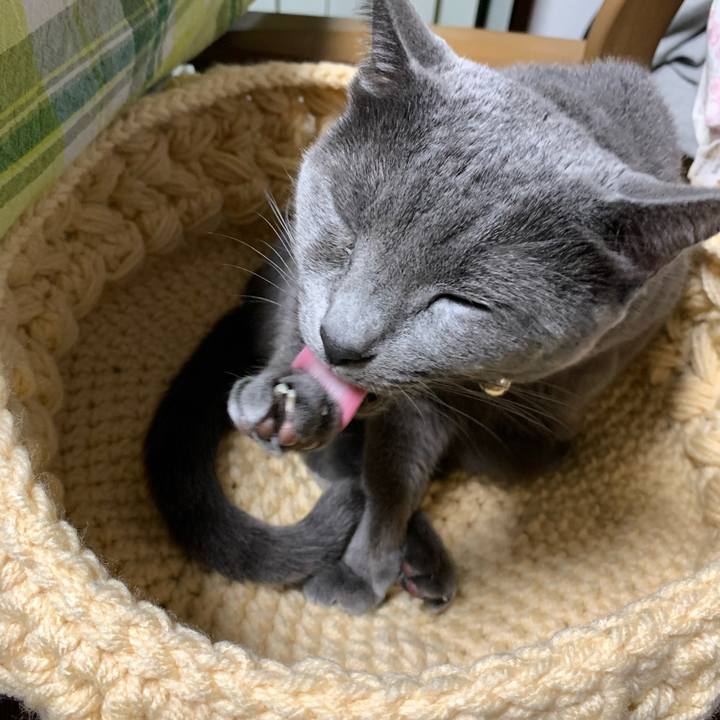 04675bdd 92b3 4d0a 9233 2b1afac3cf32 1638792634361