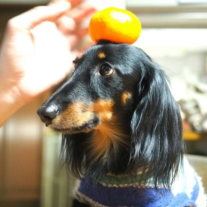 04675c42 7c71 4778 b2c3 7da9381522fa 1516408568213