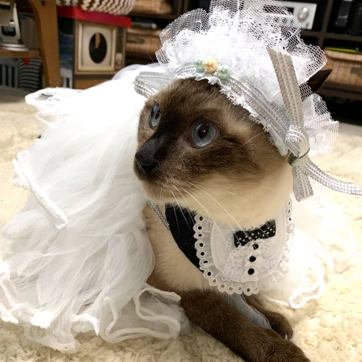 0467a305 c116 4d6e ac26 5e72c5d6ec2d 1571468462423