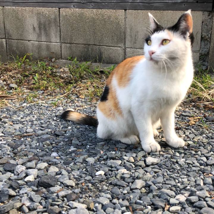 0467aca9 b207 43a4 b2e1 046ebf2dd834 1600726456384